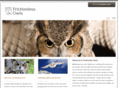 frictionless-owls.com