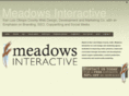 meadowsinteractive.com