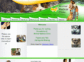 tullahomavet.com