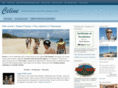 sailstmaarten.com