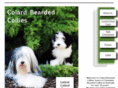 colardbeardedcollies.com