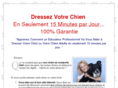 dressagepourchiens.com