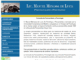 manuelmenassa.com