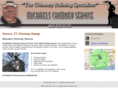 michaelschimneyservice.com