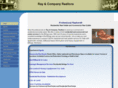 rayandcompanyrealtors.com