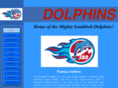 southbeltdolphins.com