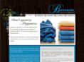 burrowsorganization.com