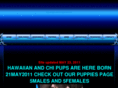 taropatchpits.com