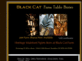 blackcatboulder.com