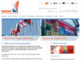 brookinternational.com