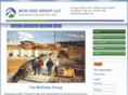 mcelweegroup.com