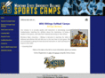 msubsoftball.com