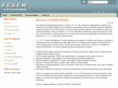 feseworks.com