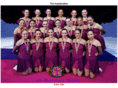 haydensynchro.com