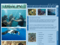 divepv.com