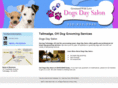 dogsdaysalon.com