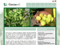 jatropha-seeds.com