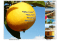 landhaus-algarve.com