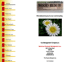 woodrun3.com