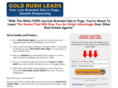 leads-management.com