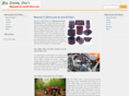 motorcycleairandoilfilters.com