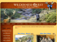 wildernessquestnz.com