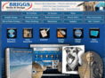 briggsmedia.net