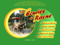 ecuries-de-rayne.com