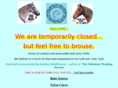 tack4horses.com