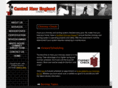 centralnewenglandchimney.com