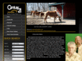 steve-audreyrealtors.com
