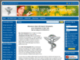 chiropractorinchelsea.com