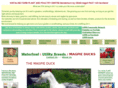 magpieducks.co.uk