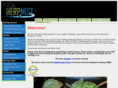 orchidmisting.com