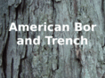 americanbortrench.com