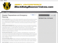 blackbabyboomervoices.com