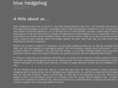 blue-hedgehog.com