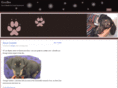 coolden.com
