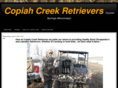 copiahcreekretrievers.com