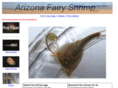 arizonafairyshrimp.com
