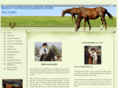 backyardhorseman.com