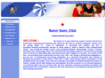 bssaini.com
