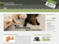 carpet-cleaning-chicago.net