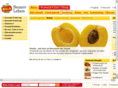 forum-besser-leben.com