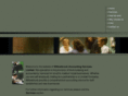 willowbrookaccounting.com