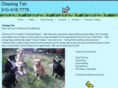 chasingthetail.com