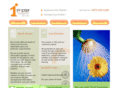 1ststepmanagement.com