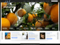marioprophoto.com