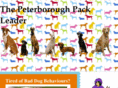 peterboroughpackleader.com