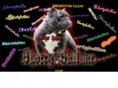 shortybullinc.com